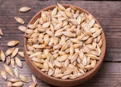 organic barley jau