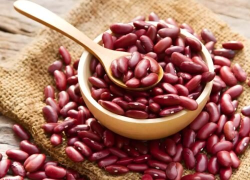 organic rajma kidney beans